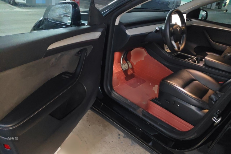 Tesla Model Y 2023 car image #18
