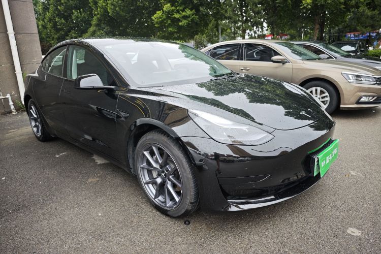 Tesla Model 3 2023 #6 Tesla Model 3 2023 car image #6