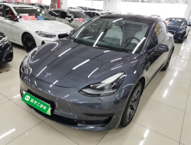 Tesla Model 3 2021 Tesla Model 3 2021 immagine di auto