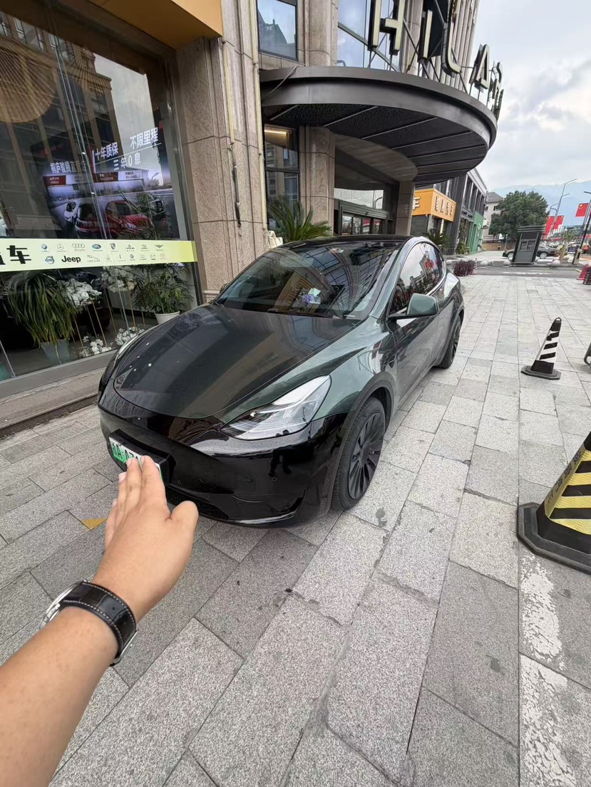 Tesla Model Y 2022 immagine di auto 