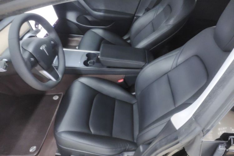 Tesla Model 3 2021 immagine di auto #19