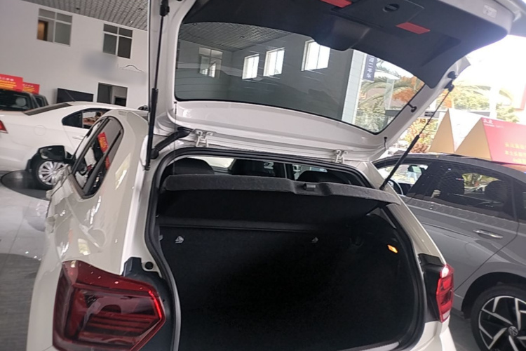 Volkswagen Polo 2021 car image #19