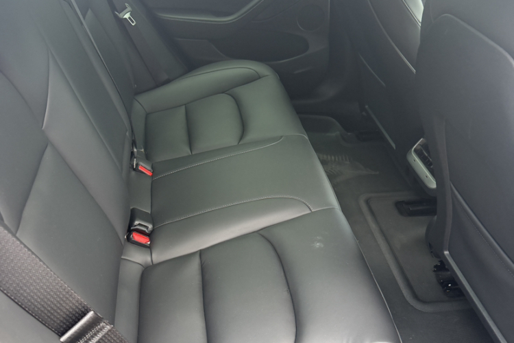 Tesla Model 3 2021 car image #11