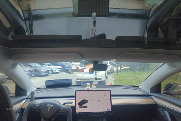 Tesla Model 3 2021 immagine di auto #20
