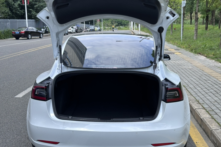 Tesla Model 3 2020 car image #27