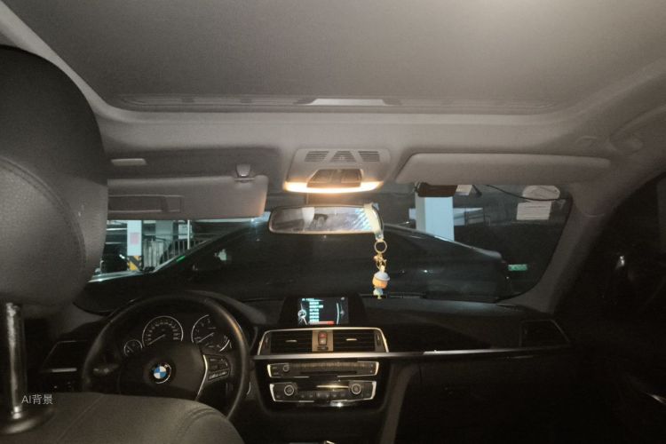 BMW 3 Series 2016 car image #20
