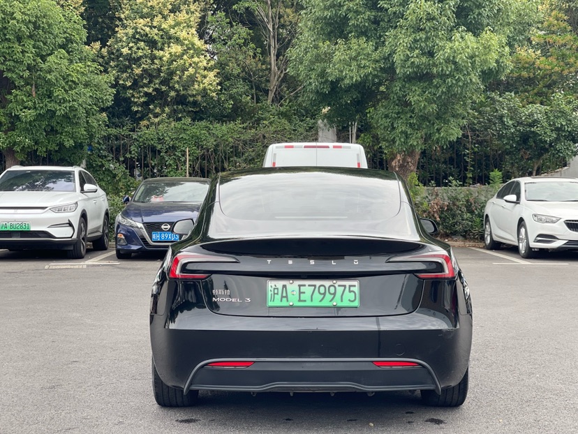 Tesla Model 3 2024 car image #8