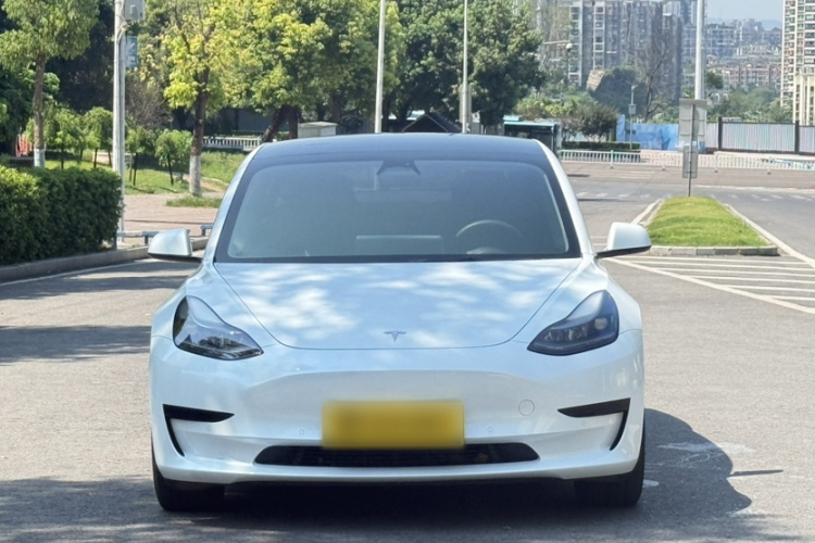 Tesla Model 3 2023 car image #8