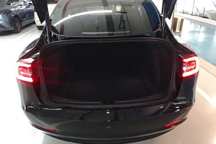 Tesla Model 3 2021 car image #19