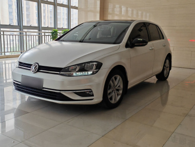 Volkswagen Golf 2019 car image 