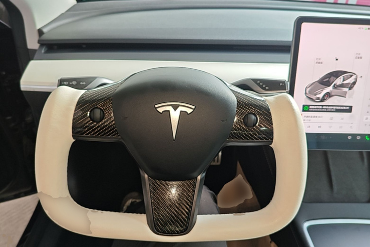 Tesla Model 3 2022 car image #11