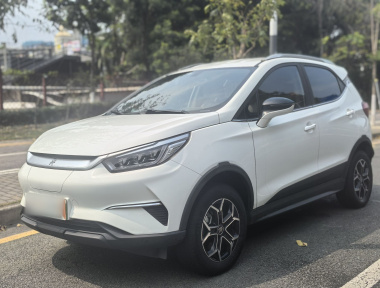 BYD Yuan Pro 2021 immagine di auto 