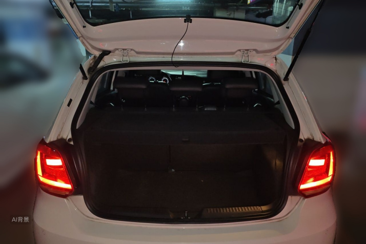 Volkswagen Polo 2016 car image #21