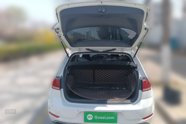 大众 高尔夫 2019 汽车图片 #21