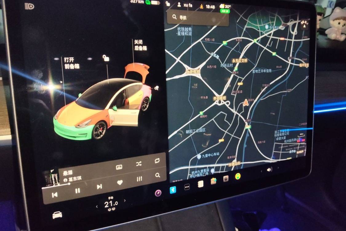 Tesla Model 3 2021 immagine di auto #24