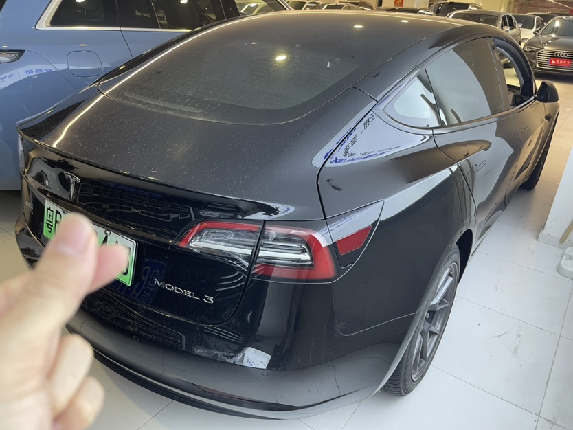 Tesla Model 3 2021 #8 Tesla Model 3 2021 car image #8
