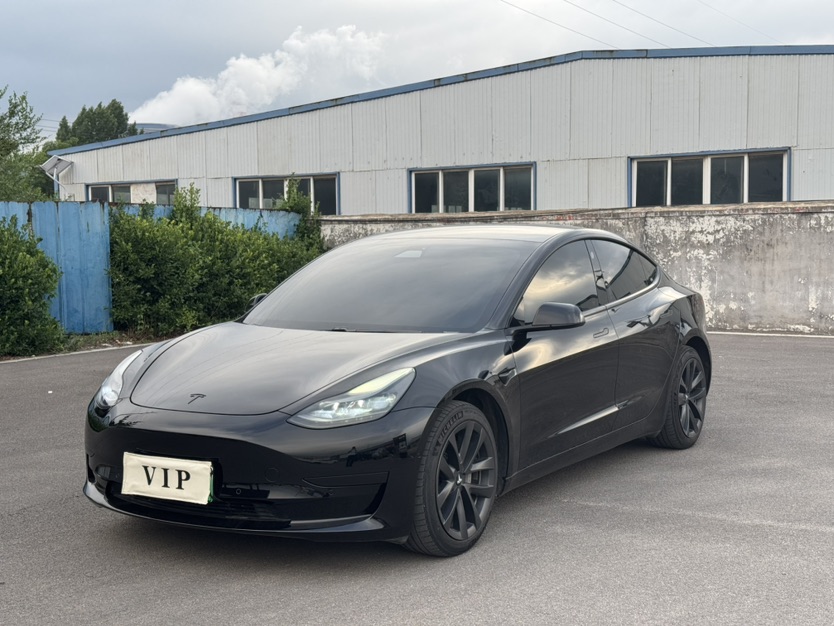 Tesla Model 3 2021 Tesla Model 3 2021 car image
