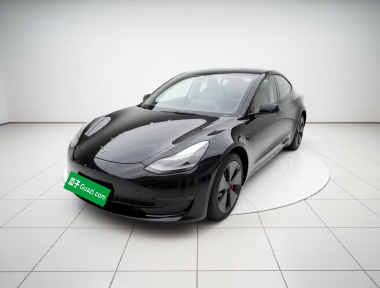 Tesla Model 3 2022 car image 