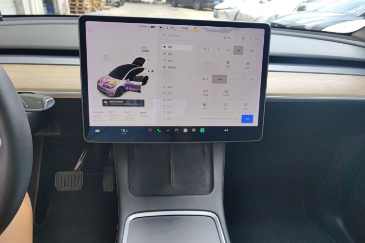 Tesla Model Y 2021 car image #17
