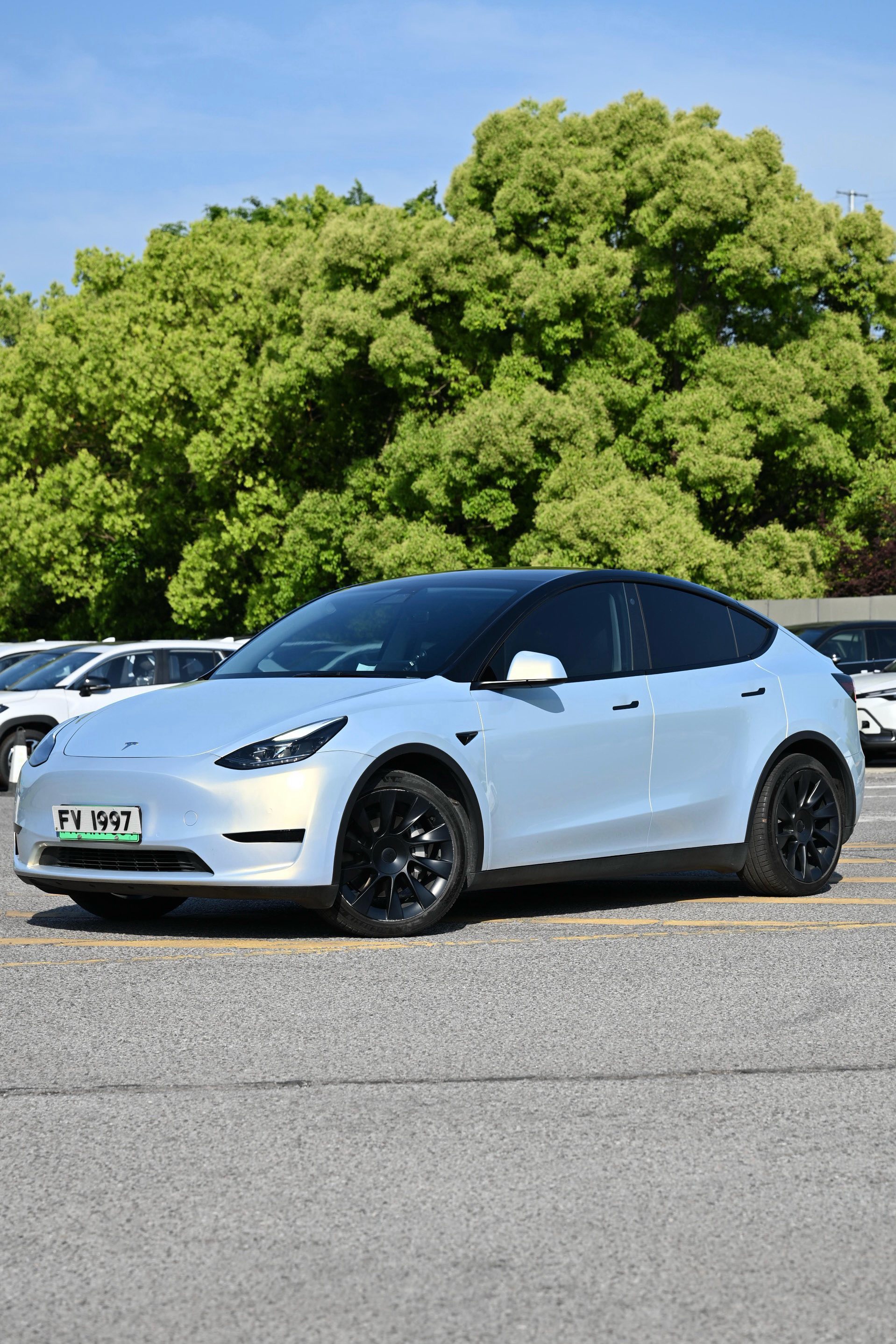 Tesla Model Y 2022 car image 