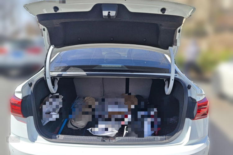 Volkswagen Bora 2021 car image #21