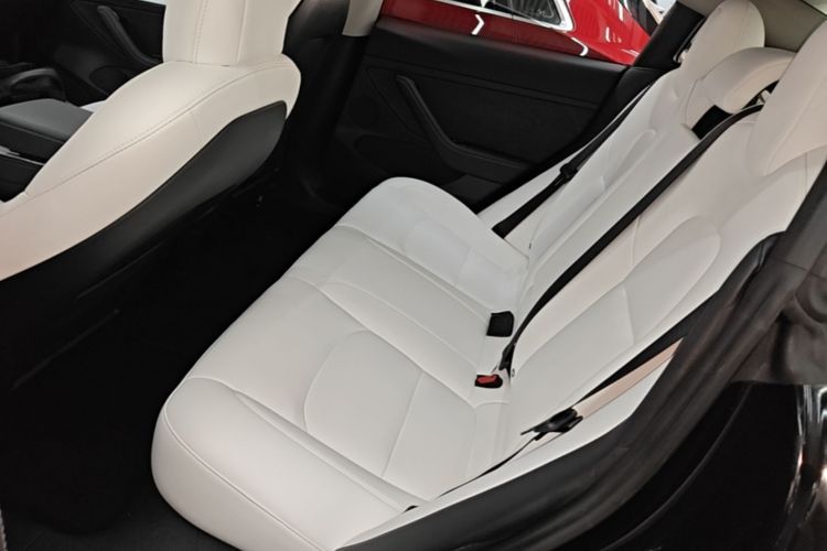 Tesla Model 3 2021 #17 Tesla Model 3 2021 car image #17
