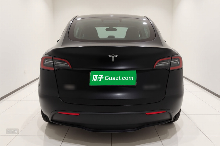 Tesla Model Y 2023 car image #6