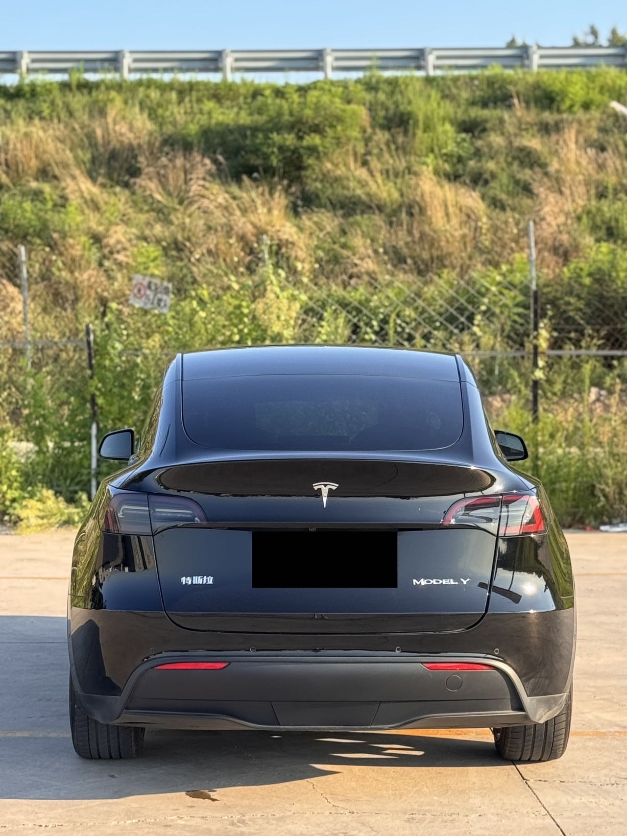 Tesla Model Y 2021 #8 Tesla Model Y 2021 car image #8