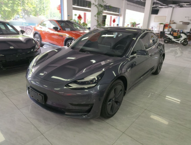 Tesla Model 3 2020 Tesla Model 3 2020 car image
