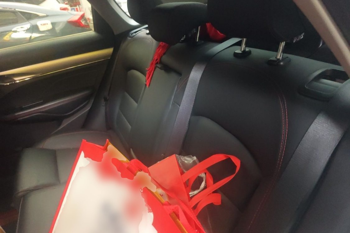 GEELY Binray 2019 #19 GEELY Binray 2019 car image #19