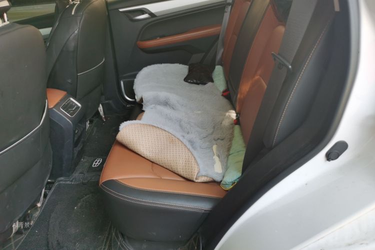 GEELY Vision X6 2020 car image #19