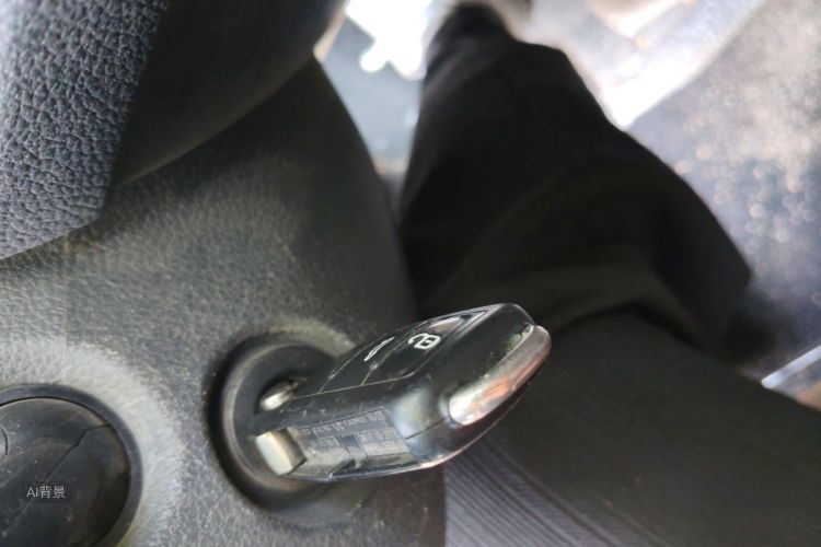 Volkswagen Santana 2021 car image #10