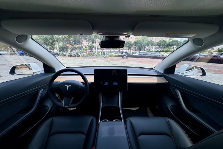 Tesla Model 3 2020 #10 Tesla Model 3 2020 car image #10