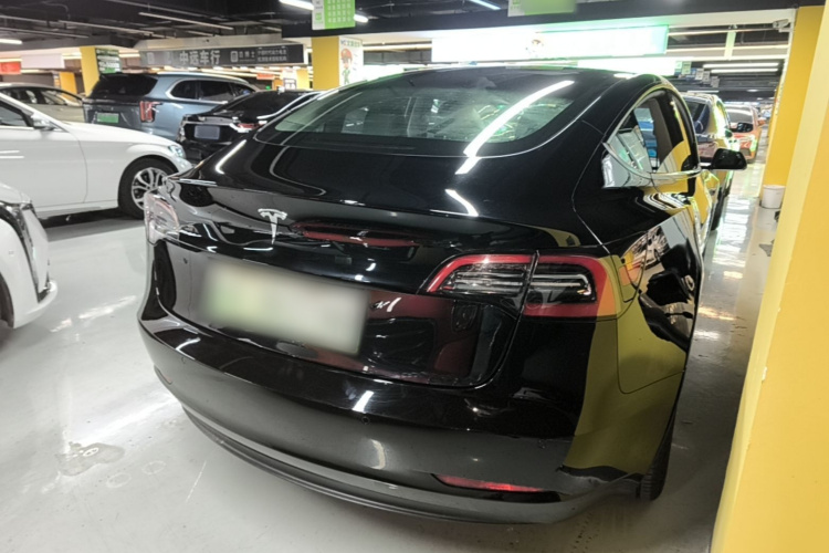 Tesla Model 3 2021 #7 Tesla Model 3 2021 car image #7