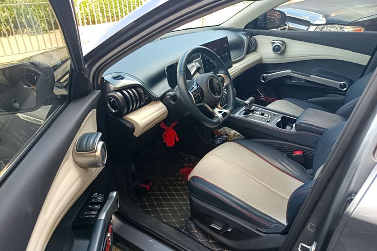 BYD Yuan Plus 2022 car image #12