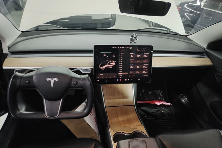 Tesla Model 3 2020 car image #10