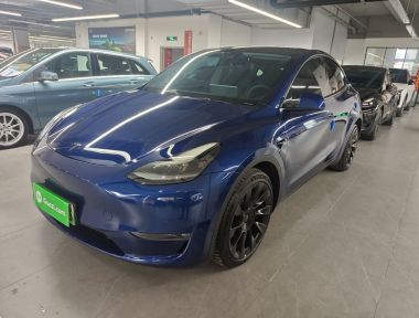 Tesla Model Y 2021 Tesla Model Y 2021 car image