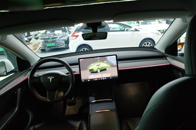 Tesla Model Y 2024 car image #10