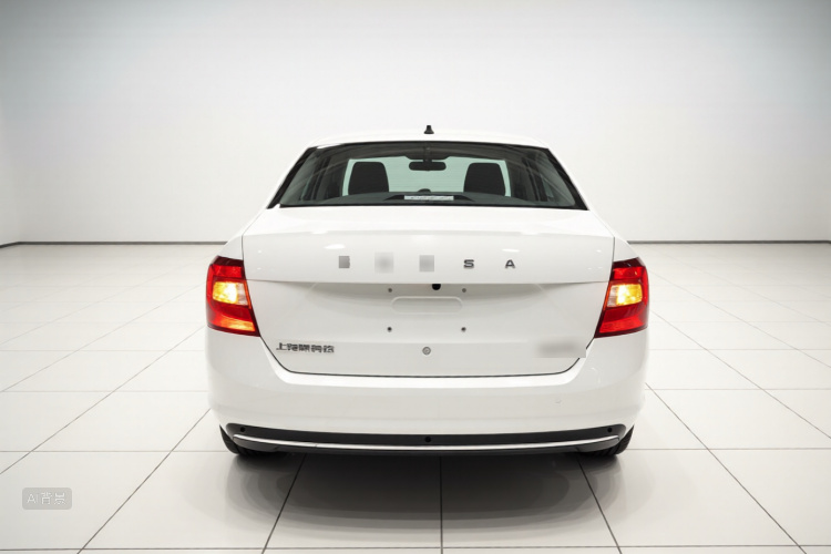 Skoda Rapid 2019 car image #6