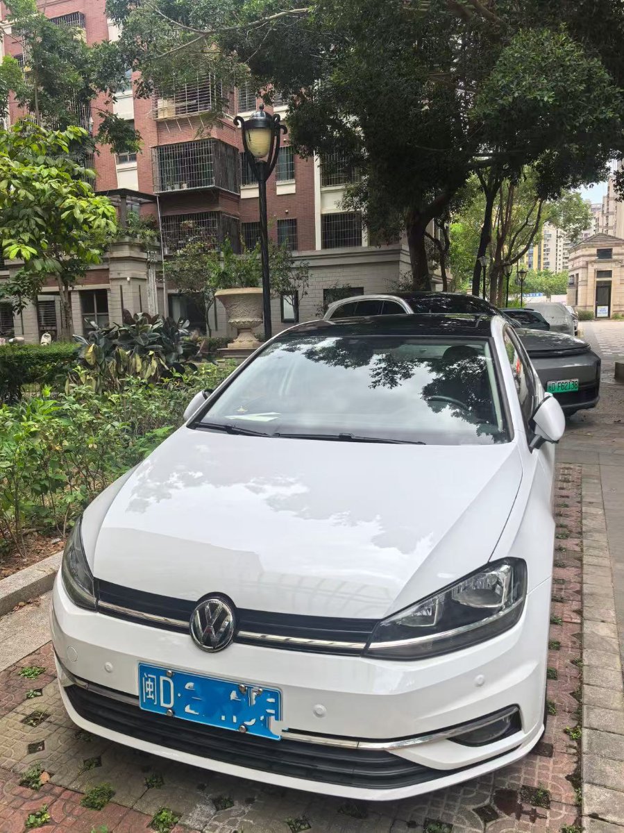Volkswagen Golf 2019 Volkswagen Golf 2019 car image