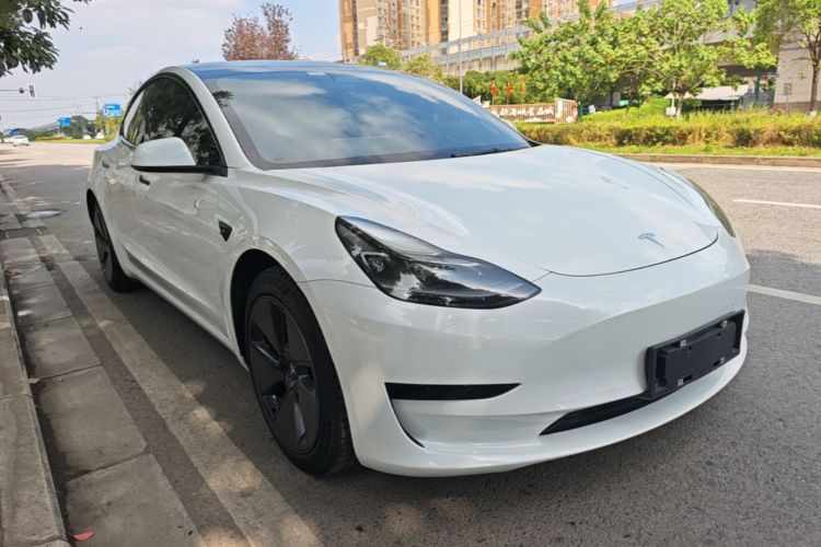 Tesla Model 3 2021 #4 Tesla Model 3 2021 immagine di auto #4