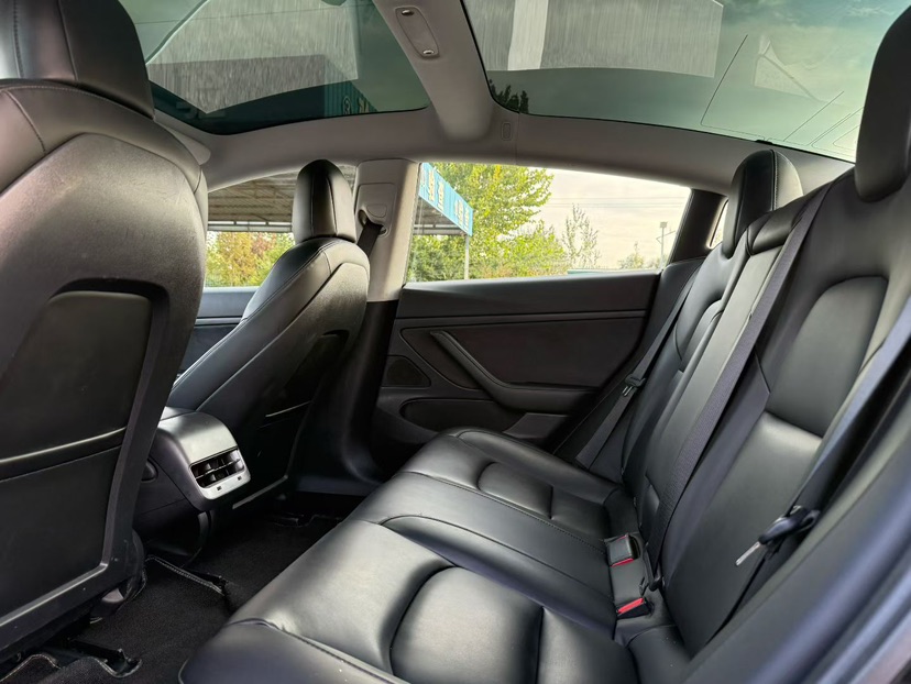 Tesla Model 3 2020 immagine di auto #6