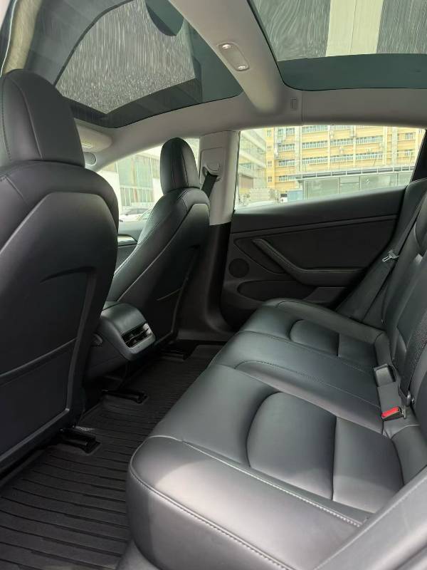 Tesla Model 3 2021 #6 Tesla Model 3 2021 car image #6