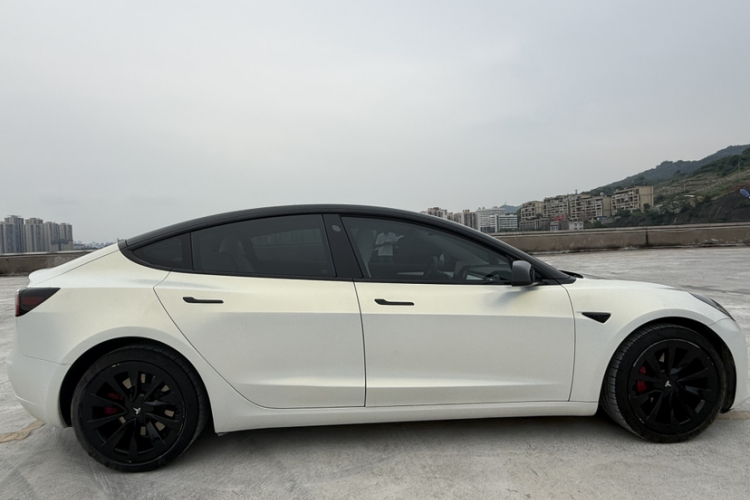 Tesla Model 3 2021 car image #7