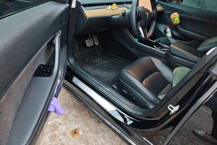 Tesla Model 3 2020 #13 Tesla Model 3 2020 car image #13
