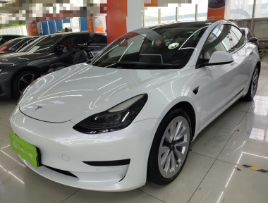Tesla Model 3 2021 Tesla Model 3 2021 car image