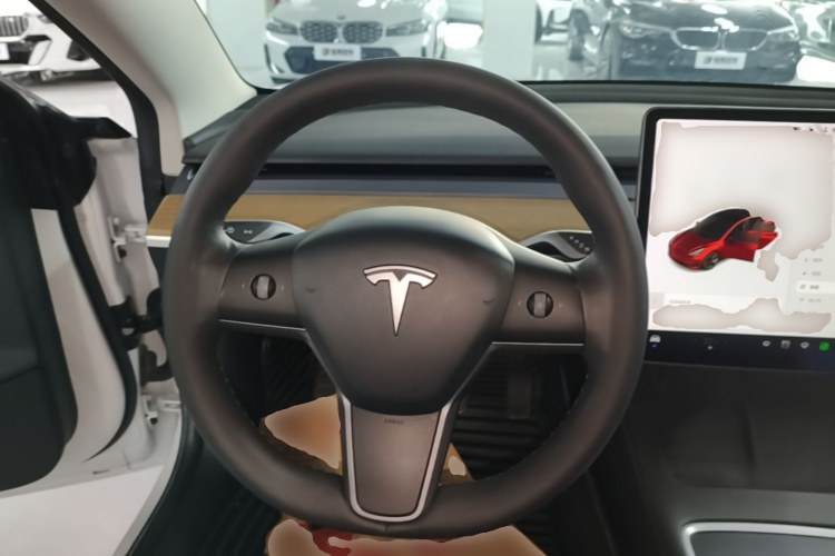 Tesla Model 3 2021 immagine di auto #11