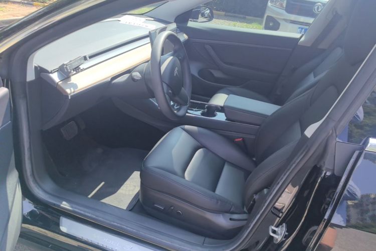 Tesla Model 3 2020 car image #15