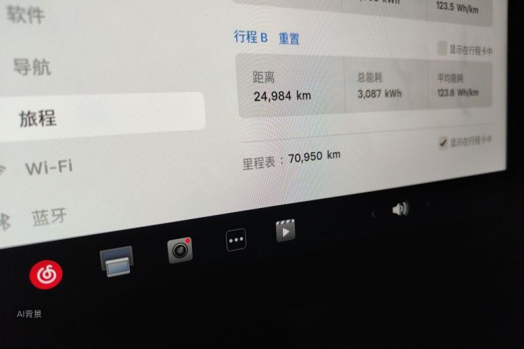 Tesla Model 3 2024 car image #14