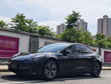 Tesla Model 3 2022 Tesla Model 3 2022 car image